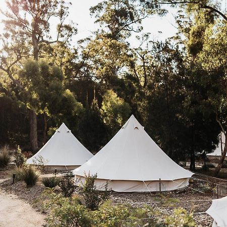 Bed and Breakfast Bay Of Fires Bush Retreat Binalong Bay Exteriér fotografie