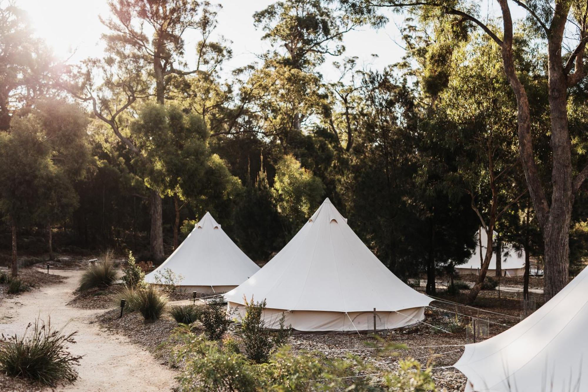 Bed and Breakfast Bay Of Fires Bush Retreat Binalong Bay Exteriér fotografie