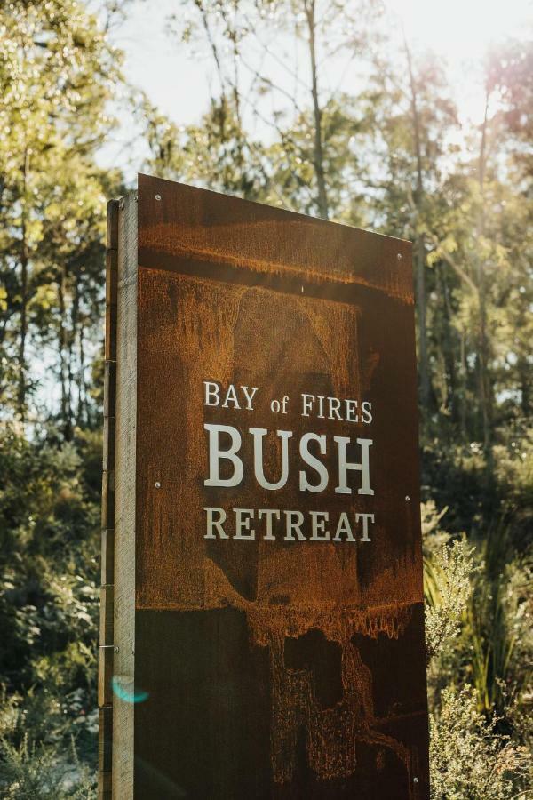 Bed and Breakfast Bay Of Fires Bush Retreat Binalong Bay Exteriér fotografie