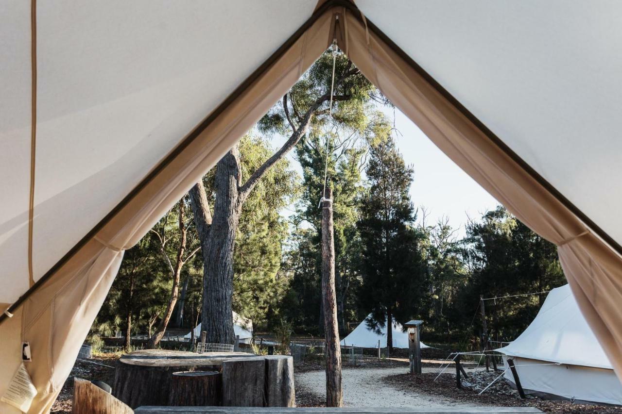 Bed and Breakfast Bay Of Fires Bush Retreat Binalong Bay Exteriér fotografie